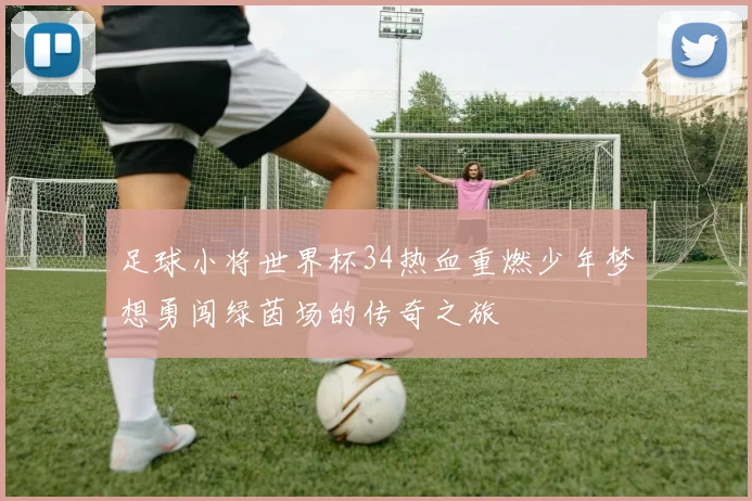 足球小将世界杯34热血重燃少年梦想勇闯绿茵场的传奇之旅