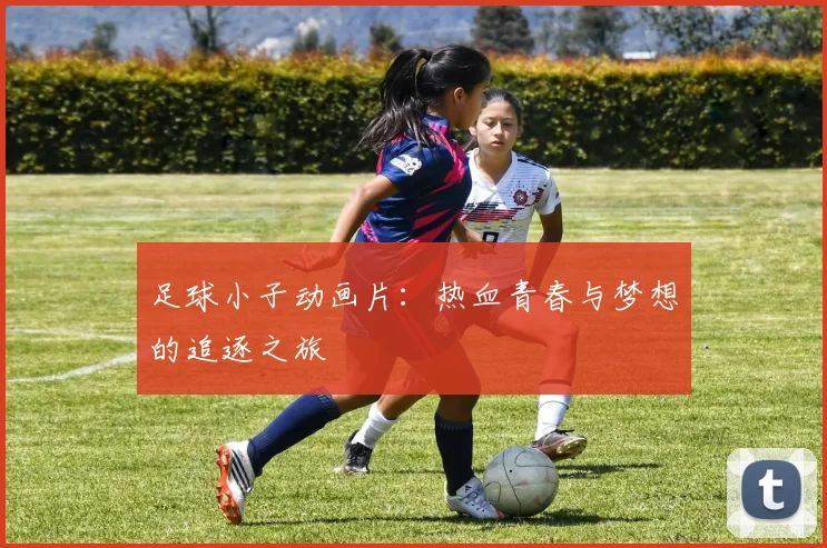 足球小子动画片：热血青春与梦想的追逐之旅