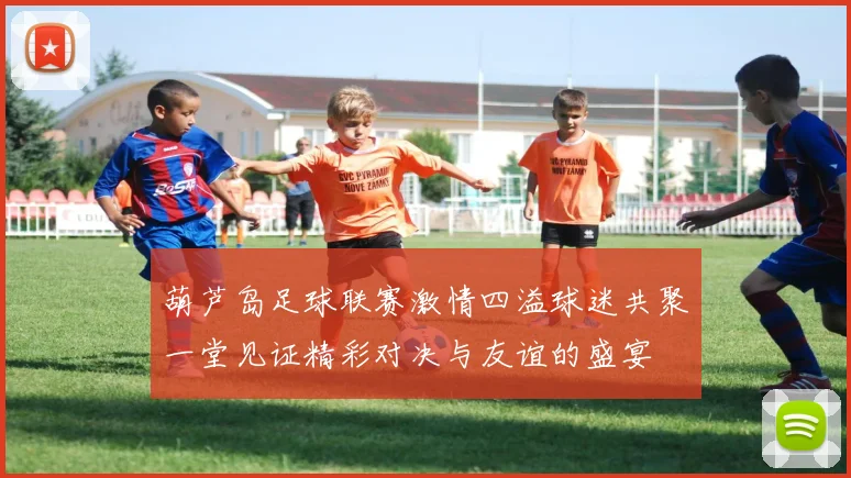 葫芦岛足球联赛激情四溢球迷共聚一堂见证精彩对决与友谊的盛宴