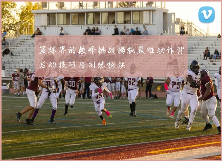 篮球界的巅峰挑战揭秘最难动作背后的技巧与训练秘诀