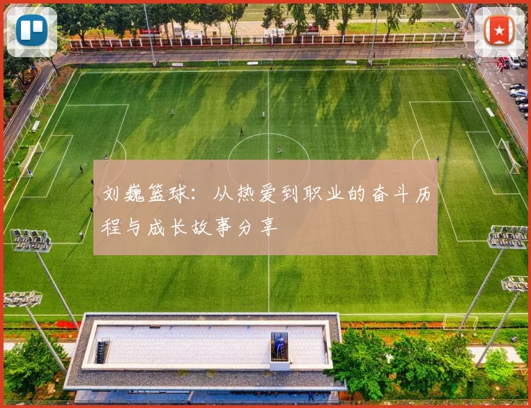 刘巍篮球：从热爱到职业的奋斗历程与成长故事分享
