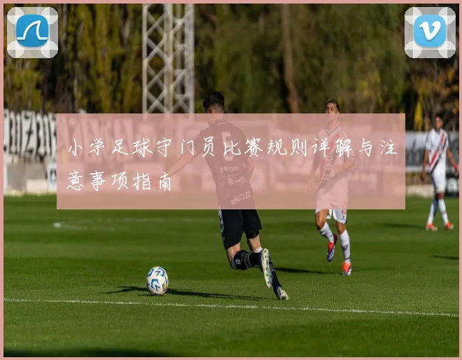 小学足球守门员比赛规则详解与注意事项指南