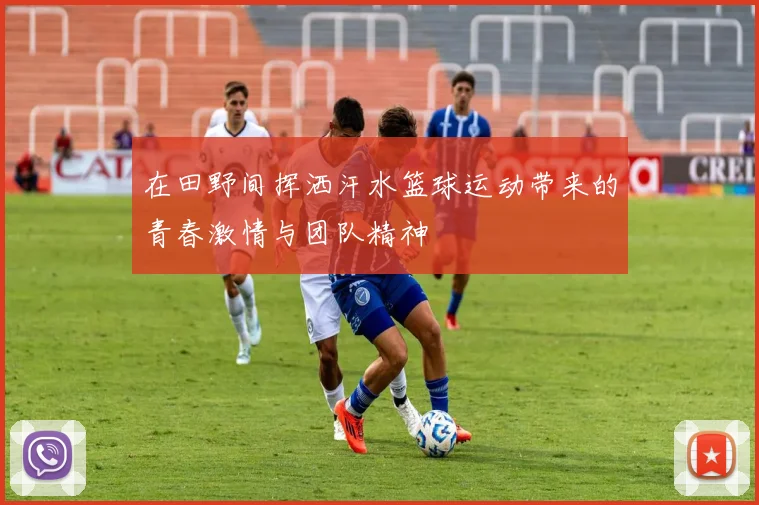 在田野间挥洒汗水篮球运动带来的青春激情与团队精神