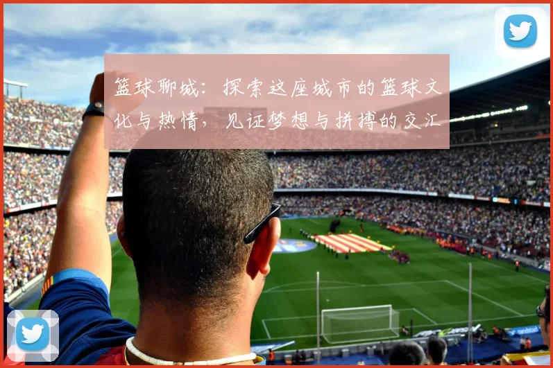 篮球聊城：探索这座城市的篮球文化与热情，见证梦想与拼搏的交汇点